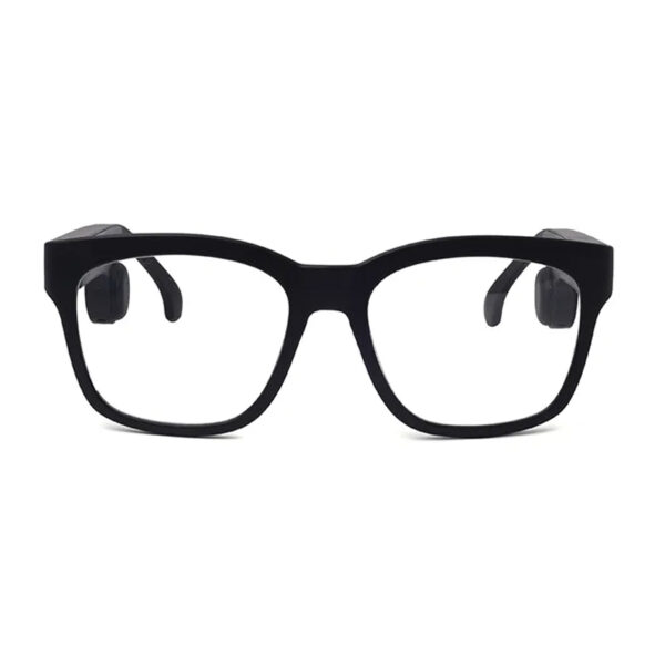 Wayfarer Glasses